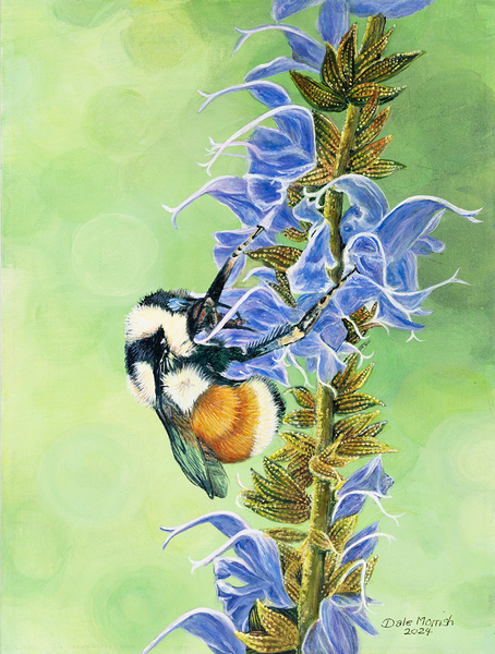 Shared Nectar 12x16  Print