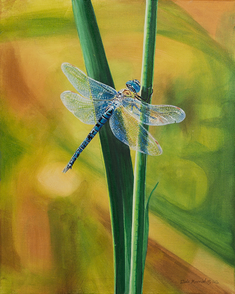 Iridescent Charm - Painting Print