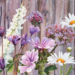 Backyard daises9x12