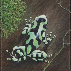 Frog green 5x7