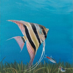 Angel Fish 12x16