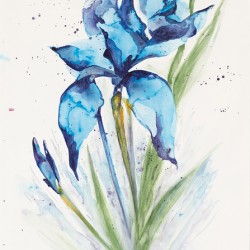 Splash of blue 17.25x23.5