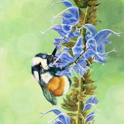 Shared Nectar 12x16 