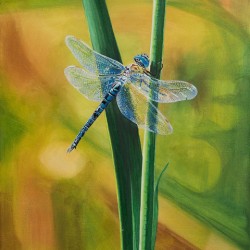 Iridescent Charm - Painting