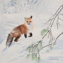 Winter Fox - Painting