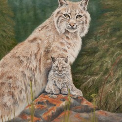 Lynx Lookout - Painting