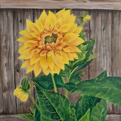 Sunshine In My Garden - Painting