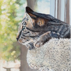 Tabby Cats Rule - Painting