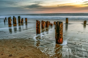 1890 Pier Pilings Santa Cruz