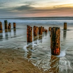 1890 Pier Pilings Santa Cruz
