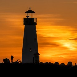 Walton Sunset Silhouette 