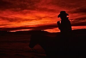 Silhouette of a Cowboy on Horseback at Sunset