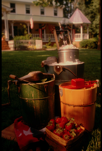 Homemade Ice Cream