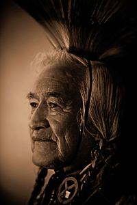 Elders Gaze 