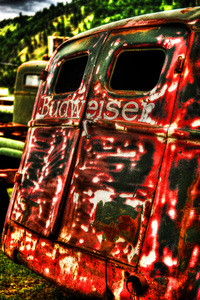 Budweiser Beauty in Big Sky Country