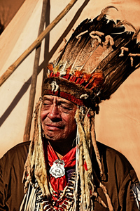 The Bonnet of the Forefathers - Native American Art