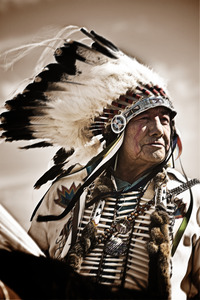 whitewash chief