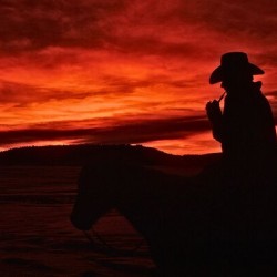 Silhouette of a Cowboy on Horseback at Sunset