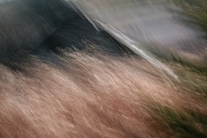 Autumn wind