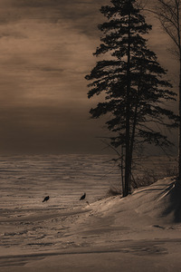 Nature sauvage 2