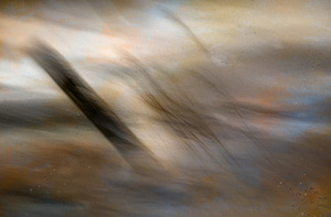 Lacher prise s.v.p.