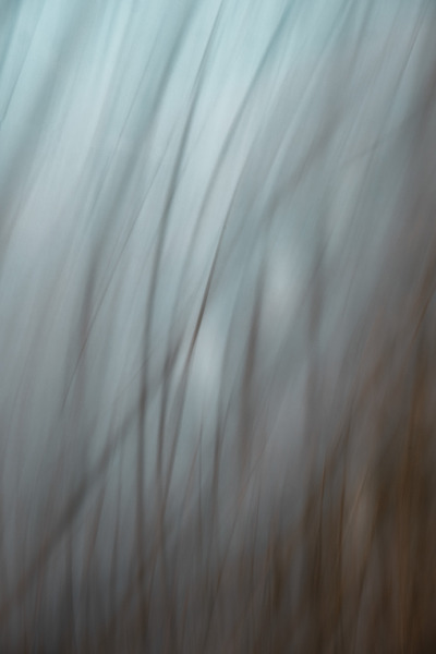 Sentir le vent Print