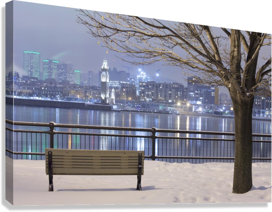 Cityscape from Inner city park at night Canvas Print