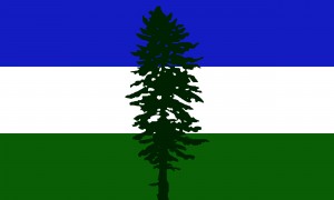 The Doug Flag