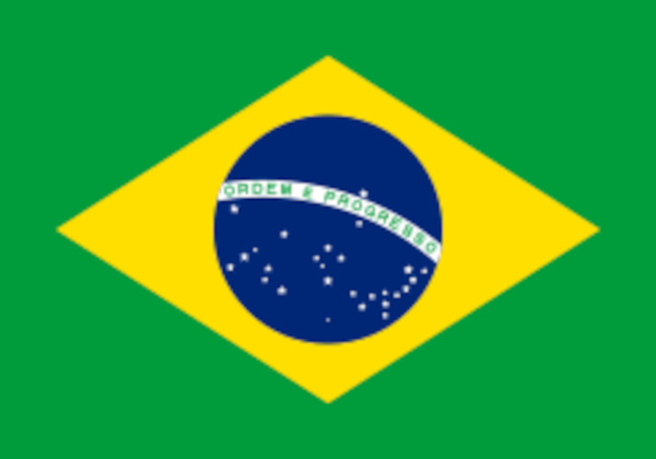 Brazil Flag Print