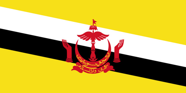 Brunei Flag Print