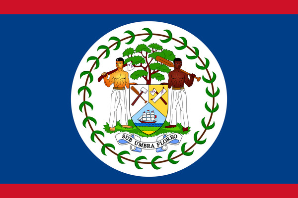 Belize Flag Print