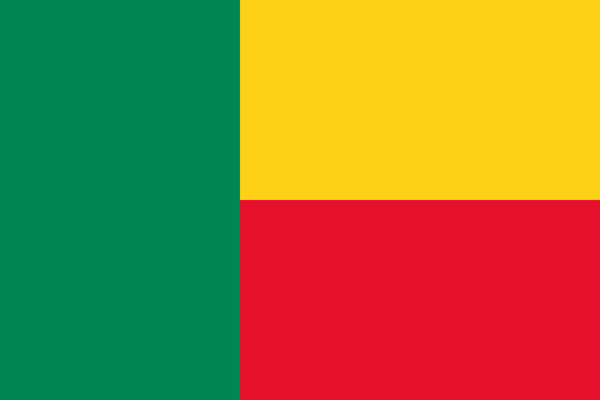 Benin Flag Print