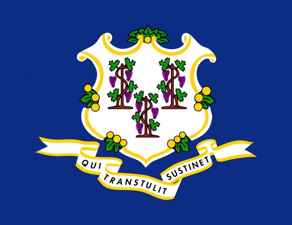 Connecticut State Flag Print