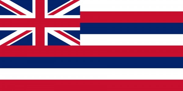 Hawaii State Flag by Fun With Flags