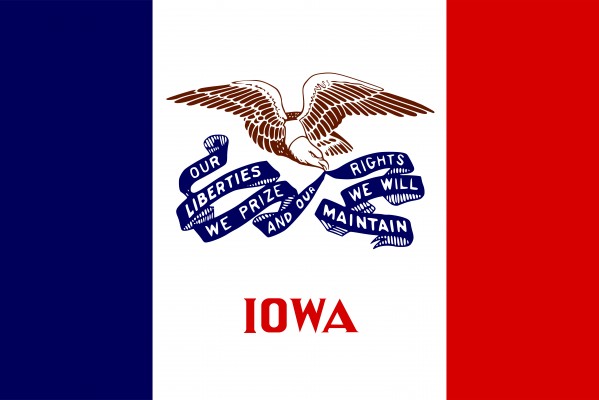 Iowa State Flag by Fun With Flags
