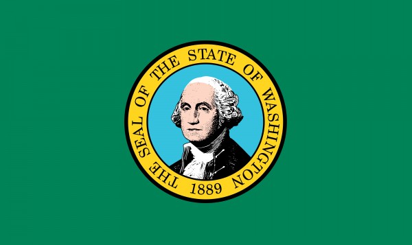 Washington State Flag Print