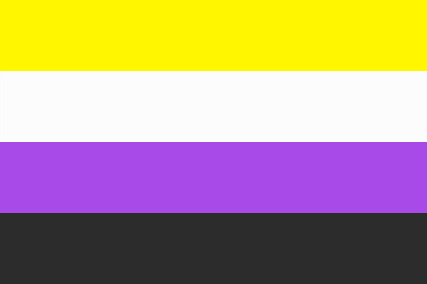 Non-Binary Pride Flag Print