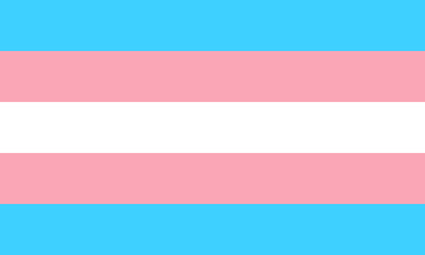 Transgender Pride Flag Print