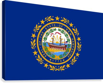 New Hampshire State Flag Canvas Print