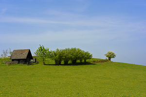 Lonely house on a green meadow with trees and blue sky