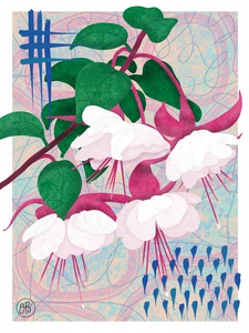 Fuchsia