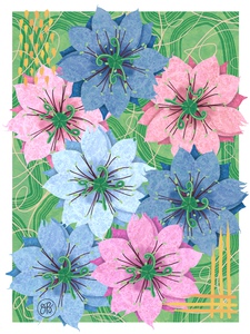 Nigella