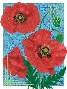 Poppy