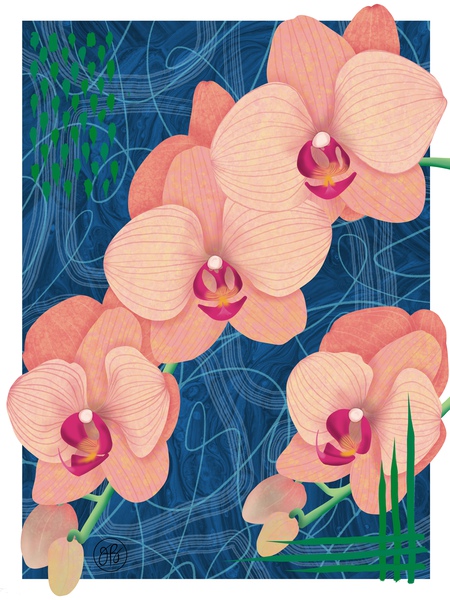 Orchid Print