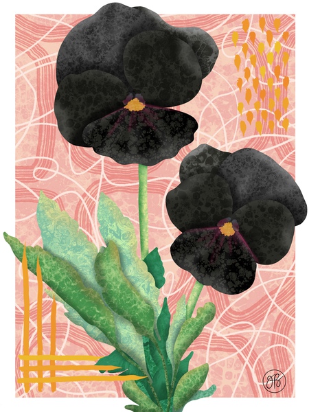Viola Print