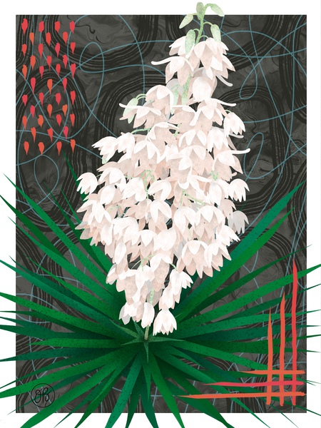 Yucca Print
