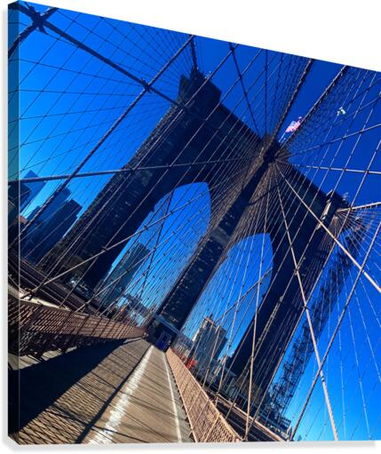 Up Close & Personal  Canvas Print