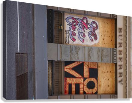 One Love  Canvas Print