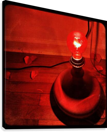 Red Light Special  Canvas Print