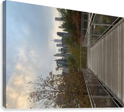A Desired Path  Canvas Print